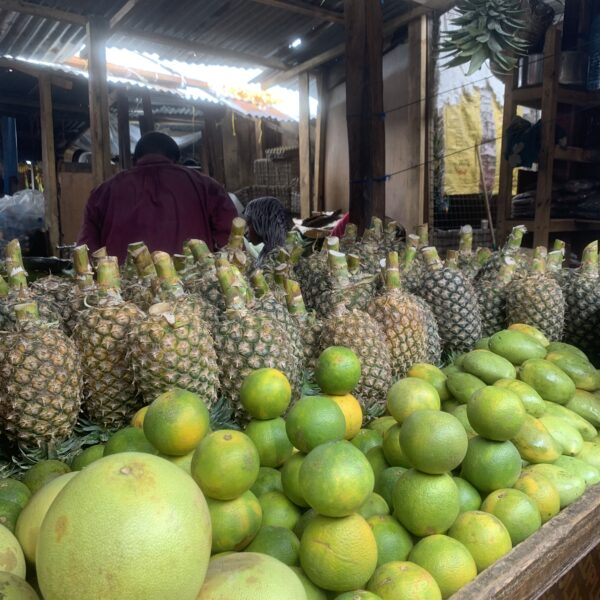 Voyage à Zanzibar
