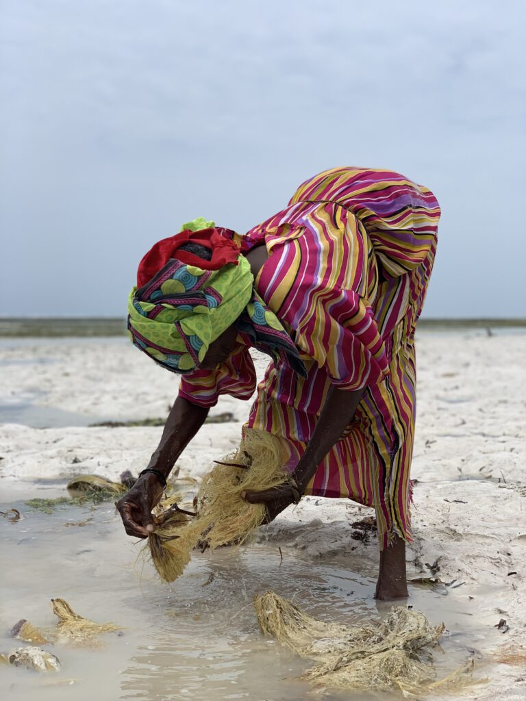 voyage sur-mesure et authentique en Tanzanie