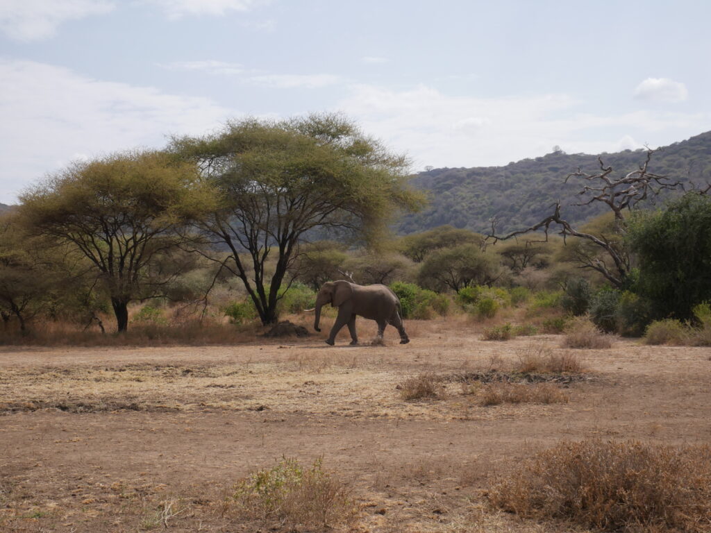 les merveilles de la Tanzanie