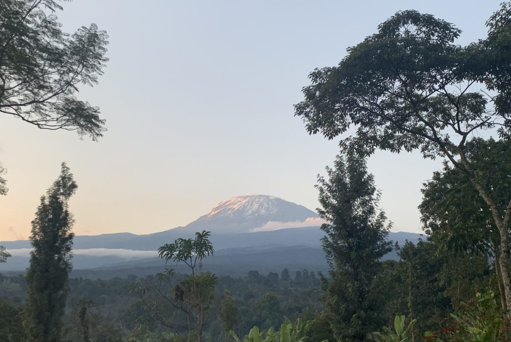 Randonner en Tanzanie